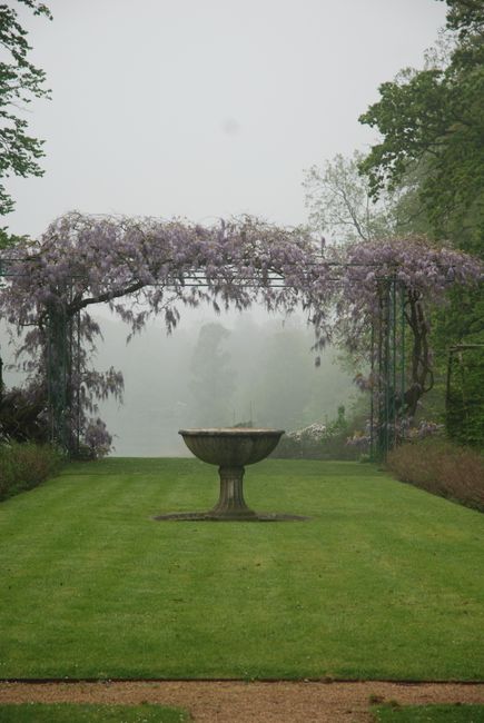 A tranquil garden scene featuring a neatly mowed, lush green lawn with a central stone birdbath on a pedestal. In the background, a decorative archway covered with blooming wisteria in soft purple hue